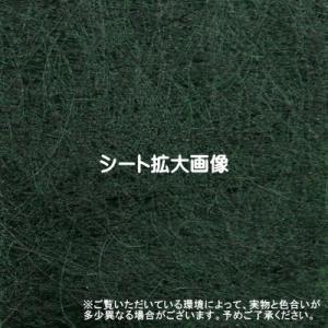 デュポン 防草シート ザバーン 240G グリ...の詳細画像1