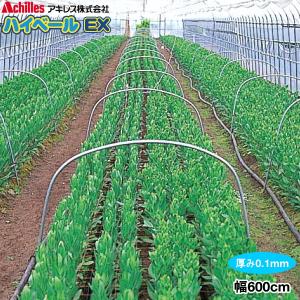 農POフィルム　ハイベールEX　厚さ0.1mm　幅600cm　数量で長さ(m)指定