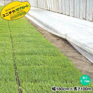 岩谷マテリアル イワタニ 水稲用 ハイホワイトシルバー 厚0.05mm 幅