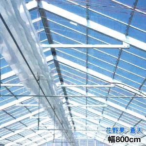 花野果(はなやか)蒼天 原反 幅270cm×長さ100m 塗布型農POフィルム(長期