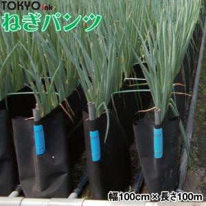 軟白ねぎ栽培用遮光シート ねぎパンツ 幅50cm×長さ100m お得な4本 