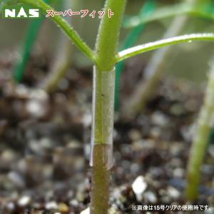 ナスニックス 接木用ホルダー スーパーフィット 15号クリア 内径1.5mm 1000個入
