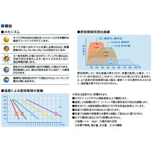 ハイポネックス 緩効性肥料(コーティング肥料)...の詳細画像1