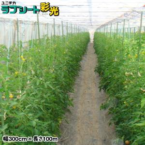3本 ユニチカ ラブシート #2507BD 黒 ブラック 厚さ0.18mm×幅135cm×長
