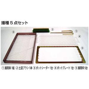 住化農業資材 ポットル タキイセルトレイM型用 PZ-128L (128穴) 育苗用