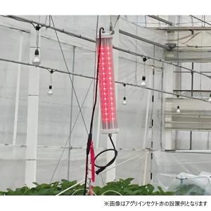 日栄インテック アグリインセクト 赤 防虫用LED アザミウマ類防除 減