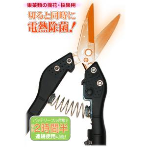 タキゲン 替刃式きゅうりカッター CP-692-1 サイズ：S-M きゅうりの