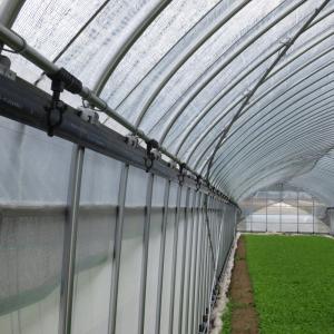 「お値下げ致しました」ハウス用遮光ネット(網タイプ)② 日本マタイ 昇温抑制遮光ネット 幅2m×長さ50m モスグリーン色 遮光率