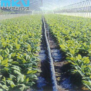 三菱（MITSUBISHI） 耐久無滴農POフィルム スーパーダイヤスター 8年