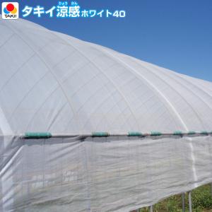 高性能遮光遮熱資材　タキイ涼感ホワイト40　(遮光率40％)　幅210cm　ご希望の長さ(m)を数量で指定ください