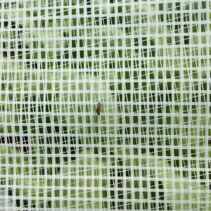 高性能遮光遮熱資材 タキイ涼感ホワイト40 (...の詳細画像2