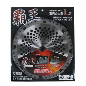 万能型刈刃(チップソー)　覇王　草刈用　大型L刃　外径255mm×羽数40p　GS-LORD-25540の商品画像