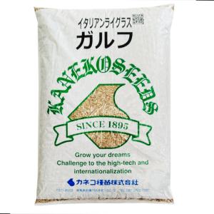 種【イタリアンライグラス】ガルフ (中生)　22.5kg大袋【カネコ種苗】種子　牧草　飼料