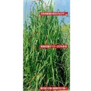 れんげの種 2kg 紫雲英 種子 蓮華草 花の種 緑肥の種 れんげそう たね