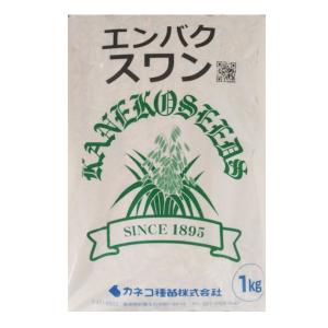 種【エンバク】スワン（極早生）20kg大袋【カネコ種苗】緑肥　種子　えん麦　春播き｜otentosun