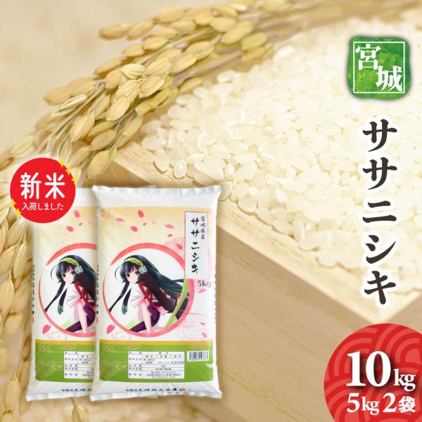 新米　宮城県産　ササニシキ　10kg　（5kg2袋）　令和7年産　送料無料　白米　お米