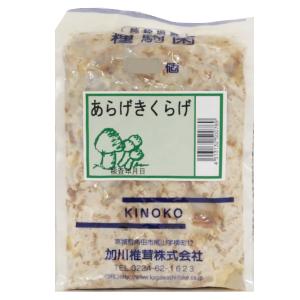 【きのこ種駒菌】加川 あらげきくらげ菌 （500駒） 種菌