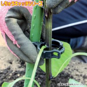 誘引資材 しちゅうキャッチ 16 (300個入) (黒or緑 色選択) 支柱径16mm 