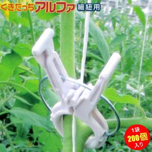 とめたつ　ニチバン　誘引結束機　TMA100 71b-O+hWkvL._AC_UF1000,