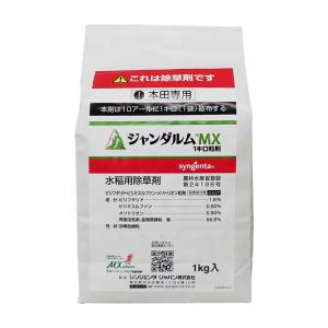 高麗青磁 韓国 直輸入/ 手付壺 天上花 （大） /訳あり アウトレット