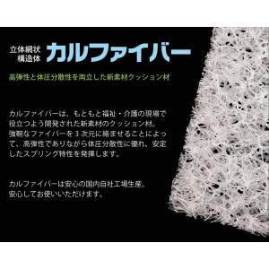 パネフリ工業 安全靴・長靴専用 カルファイバー...の詳細画像1