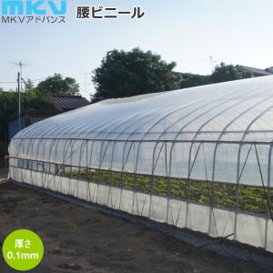 花野果(はなやか)蒼天 原反 幅270cm×長さ100m 塗布型農POフィルム(長期