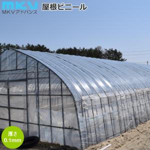 ベジタロンＮＥＸＴ ネクスト 0.05ｍｍ厚 210cm幅 長さ100m 農POフィルム ベジタロン ネクスト 厚さ0.05mm 幅210cm 数量で長さ(m
