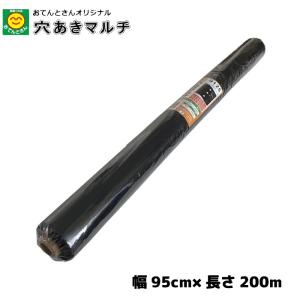 穴あき黒マルチ 9515 厚0.02mm×幅95cm×長50m 45mm孔 菜園向け 穴あき