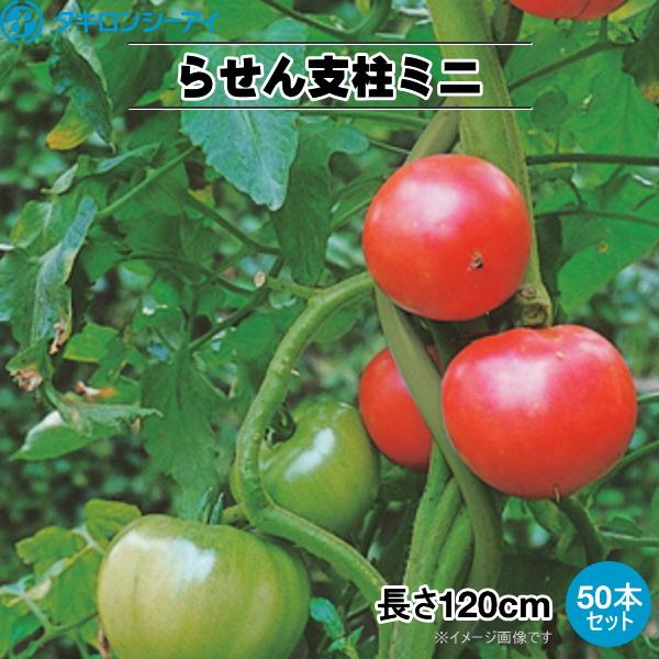 タキロンシーアイ　トマト用ラセン支柱ミニ　トマポール　太さ11mm　長さ1.2m　50本セット