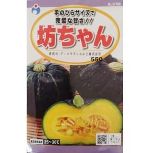 カボチャ　坊ちゃん【みかど協和】【ウタネ】【ネコポス発送可（10個まで／メール便）】｜otentosun