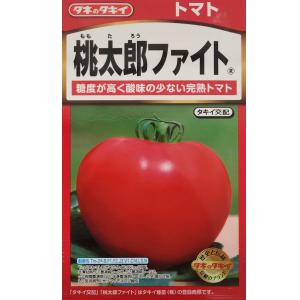 野菜 種【トマト】CF桃太郎ファイト（1000粒）【タキイ種苗】種子｜otentosun