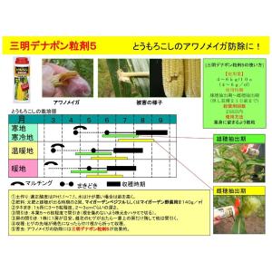 三明デナポン粒剤5 200gの詳細画像1