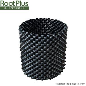 テラル 自動交互型 水中ポンプ 汚水 雑排水 排水ポンプ 50PVT-5.75