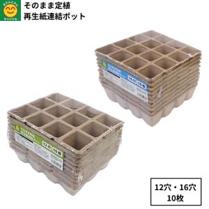 そのまま定植 再生紙連結ポット 12穴/16穴 ...の商品画像