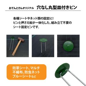 穴なし丸型皿付ピン 黒 ピン長さ:20cm 入...の詳細画像1