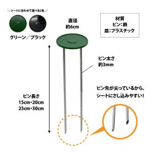 穴なし丸型皿付ピン 黒 ピン長さ:20cm 入...の詳細画像2