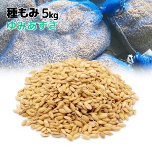 種もみ　ゆみあずさ　令和6年水稲栽培用種籾　2024年水稲種子　合格品｜otentosun