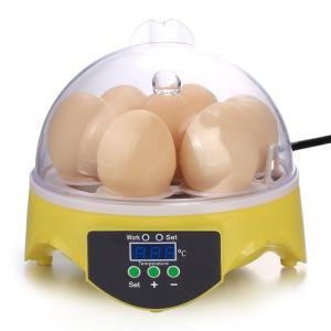 孵卵器 インキュベーター 鳥類専用 手動転卵 ...の詳細画像1