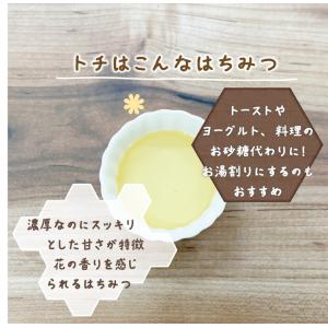 北海道産 トチ 10g おとべのはちみつ 国産...の詳細画像1
