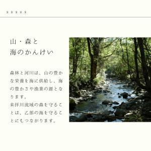 【2025年度産】北海道産 ソバ 130g お...の詳細画像4