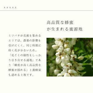 【2025年度産】北海道産 ソバ 130g お...の詳細画像5