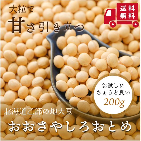 【送料込み】大莢白乙女 200g 1個 令和６年度産 北海道産 白大豆 地大豆 国産 乙部町産 おお...
