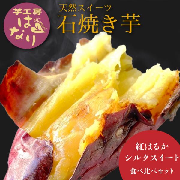 蜜は避けられない天然スイーツ石焼芋！紅はるか・シルクスイート食べ比べセット480g×3袋入(常温 約...