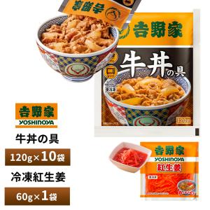吉野家（YOSHINOYA） 牛丼の具【10食詰合せ】 120g×10袋 送料無料 冷凍
