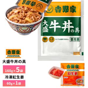 大黒食品 ≪終売≫ 送料無料 マイフレンド BIG たぬきうどん
