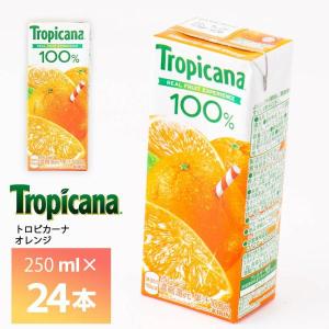 トロピカーナ キリンビバレッジ 100% アップル 250ml×24本 果汁100
