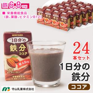 1日分の鉄分 ココア 125ml 24本 守山乳業 常温保存 栄養機能食品 鉄分 6.8mg入り 鉄 葉酸 ビタミンＢ12