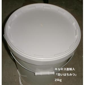 キルギス直輸入の白いはちみつ エスパルセット（ いが豆 ） 25kg