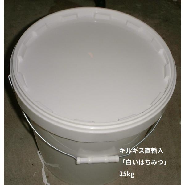 キルギス直輸入の白いはちみつ エスパルセット（ いが豆 ）  25kg