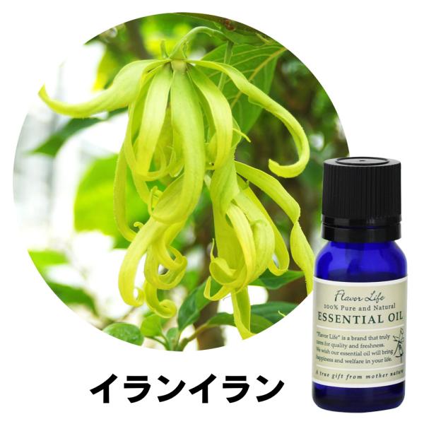 フレーバーライフ エッセンシャルオイル イランイラン 10ml 精油 アロマ アロマオイル リラック...